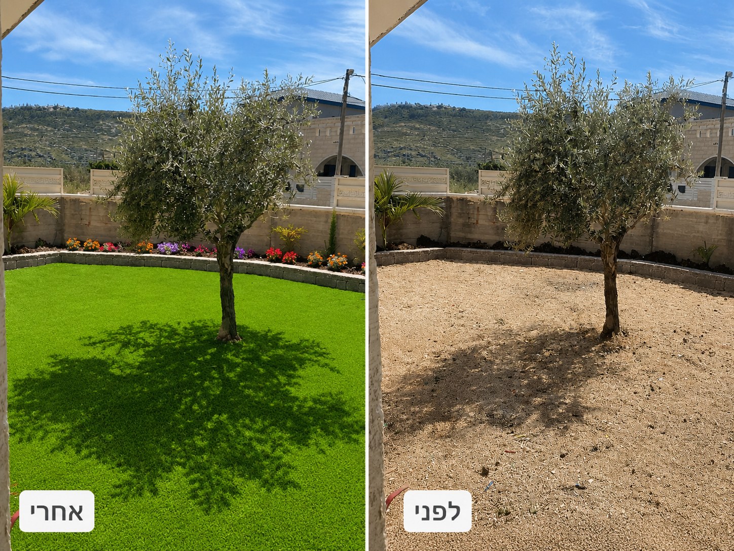 השוואה בין החצר היבשה לבין הגינה הירוקה לאחר ההקמה