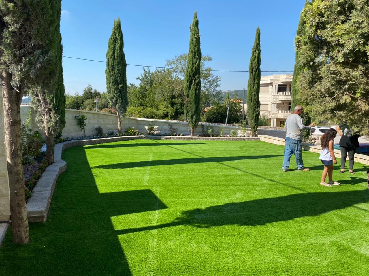 משטח דשא ירוק ומרובע עם עצי ברוש בחצר